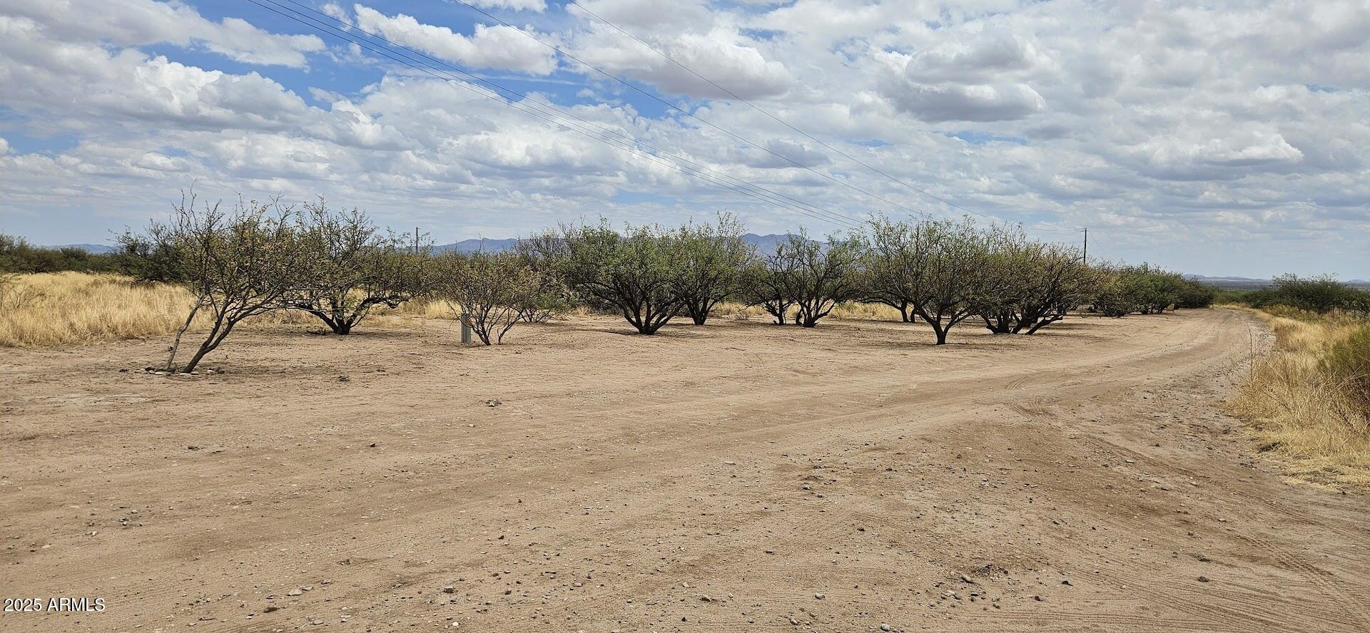 4.5-acres East Lane Ranch Road, Unit 30 Hereford, AZ 85615 - Photo 3 of 19 20250601_114335
