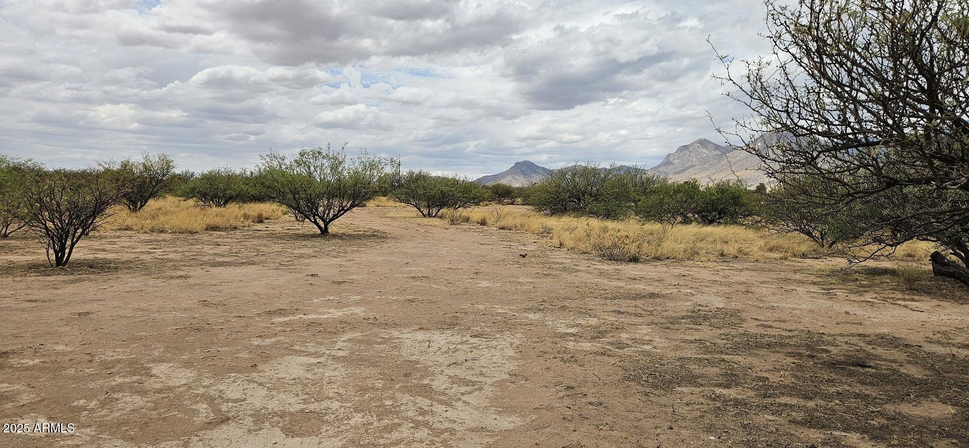 4.5-acres East Lane Ranch Road, Unit 30 Hereford, AZ 85615 - Photo 5 of 19 20250601_114542