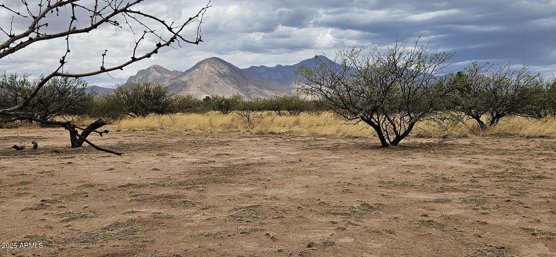 4.5-acres East Lane Ranch Road, Unit 30 Hereford, AZ 85615 - Photo 6 of 19 20250601_114709