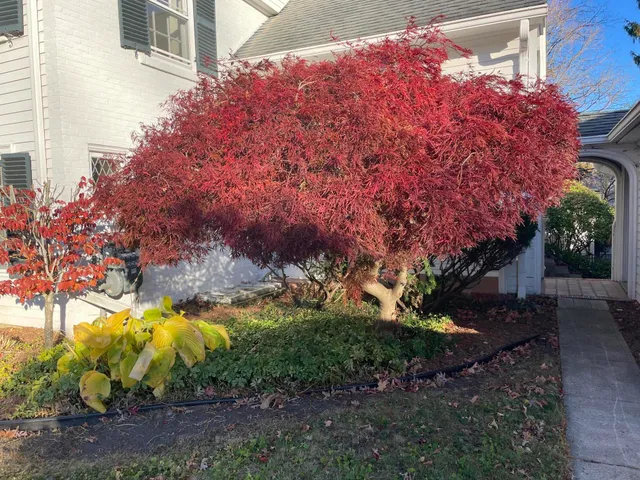 $1,195,000 | 501 Onondaga Street, Ann Arbor, MI 48104