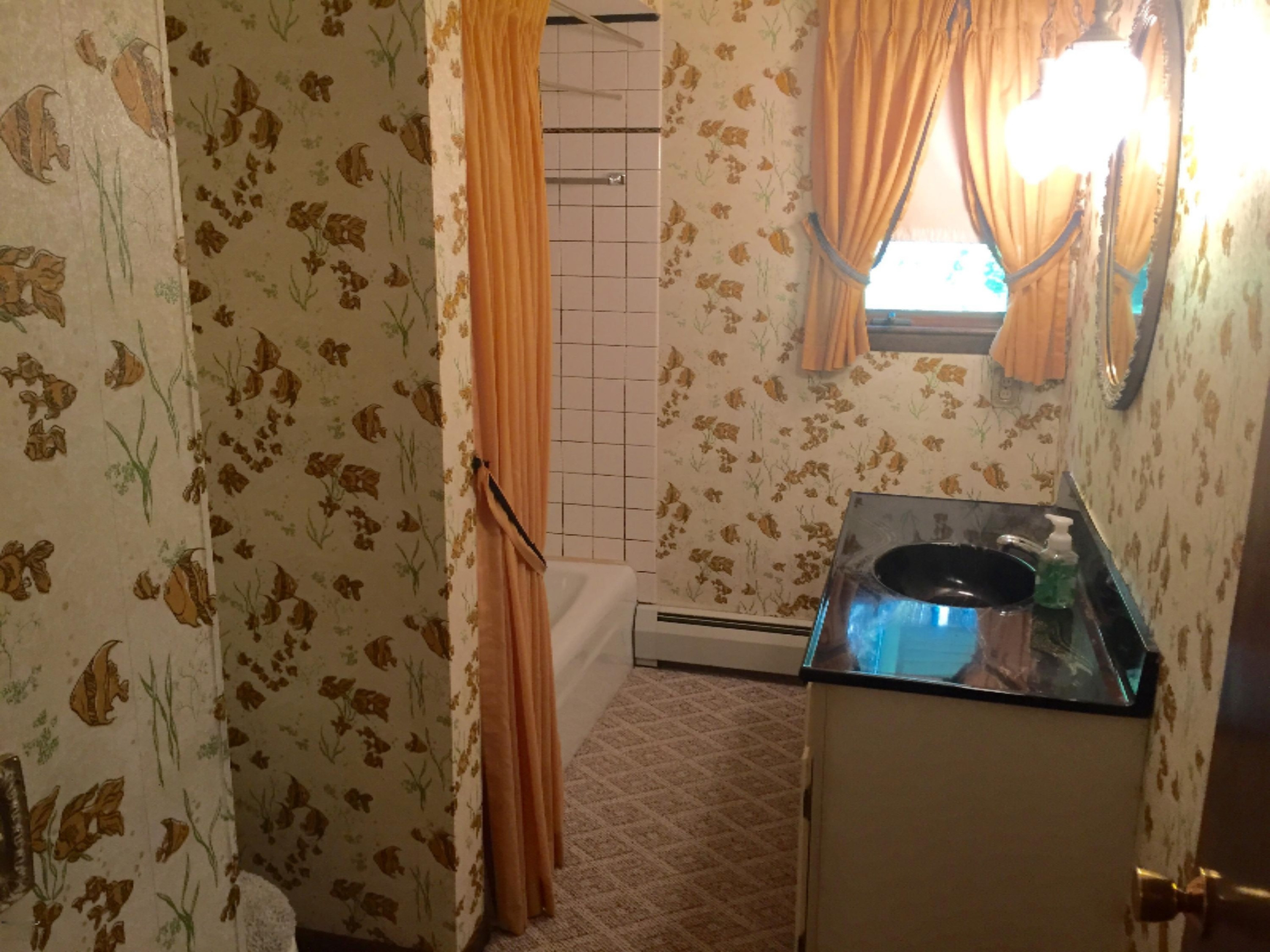 9595 Reed Road Howard City, MI 49329 - Photo 14 of 28 FullSizeRender (6)