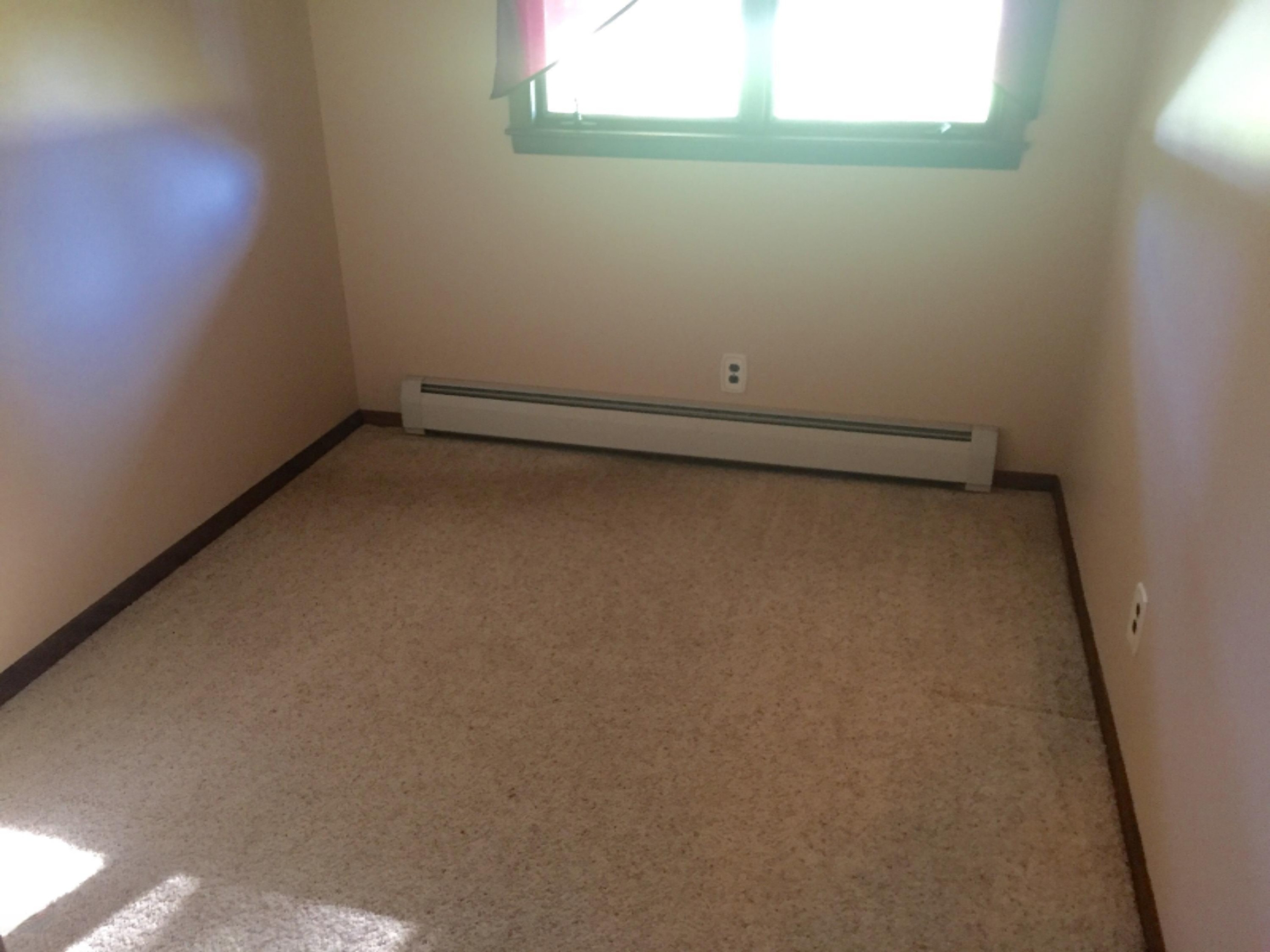 9595 Reed Road Howard City, MI 49329 - Photo 15 of 28 FullSizeRender (7)