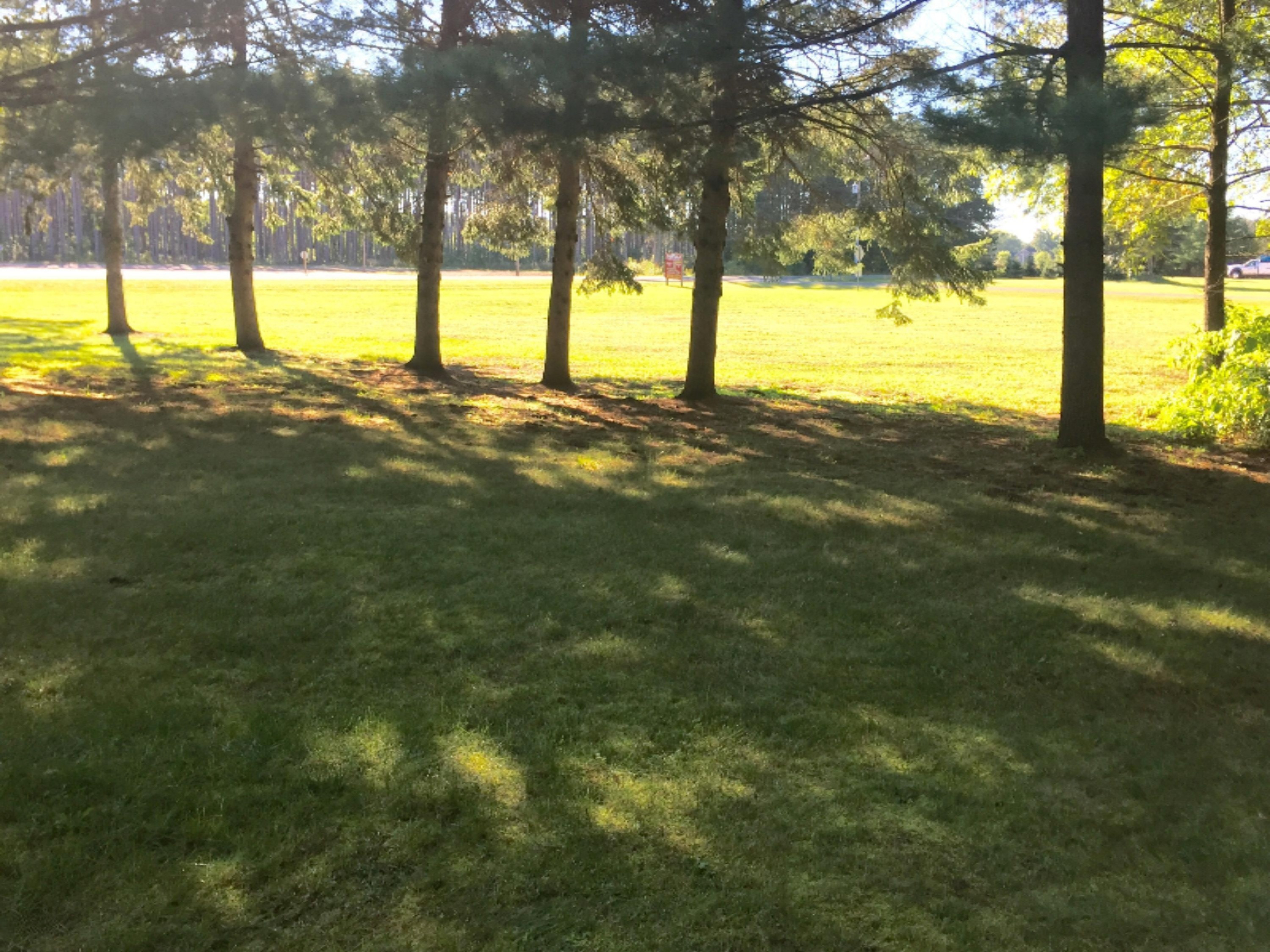 9595 Reed Road Howard City, MI 49329 - Photo 18 of 28 FullSizeRender (17)