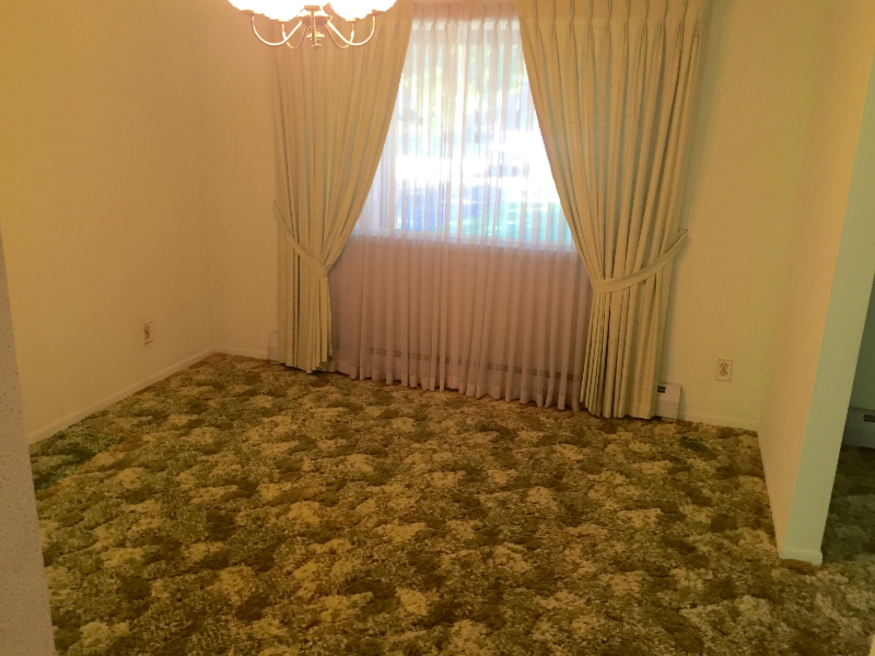 9595 Reed Road Howard City, MI 49329 - Photo 10 of 28 FullSizeRender (2)