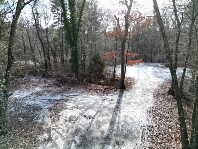 a view of a forest filled with trees