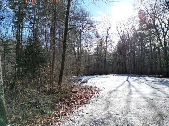a backyard of a house with a large tree