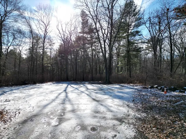 a view of outdoor space with trees