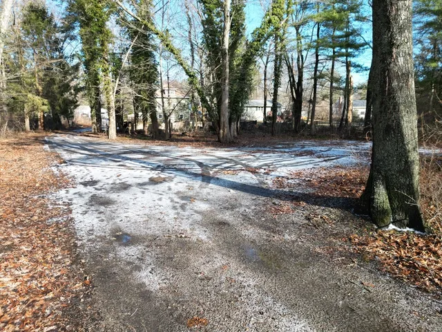 a view of backyard with trees