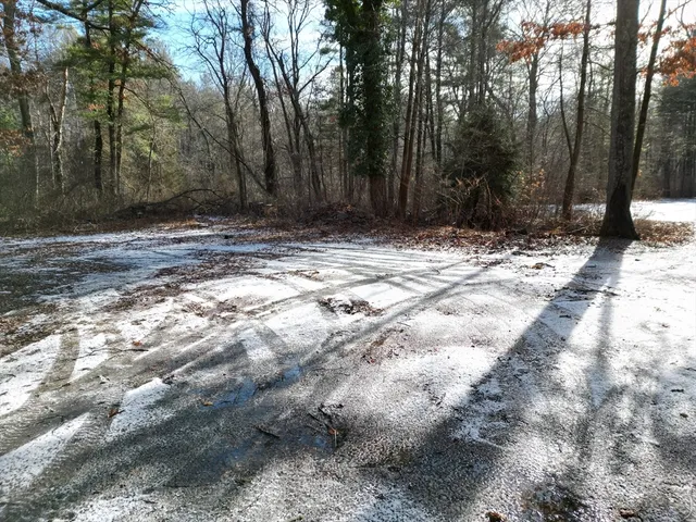 a view of outdoor space with trees