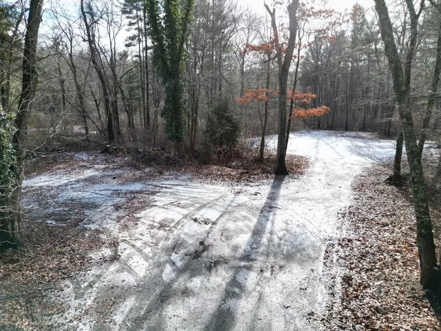 a view of a forest with trees