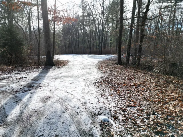 a view of house with trees in the background