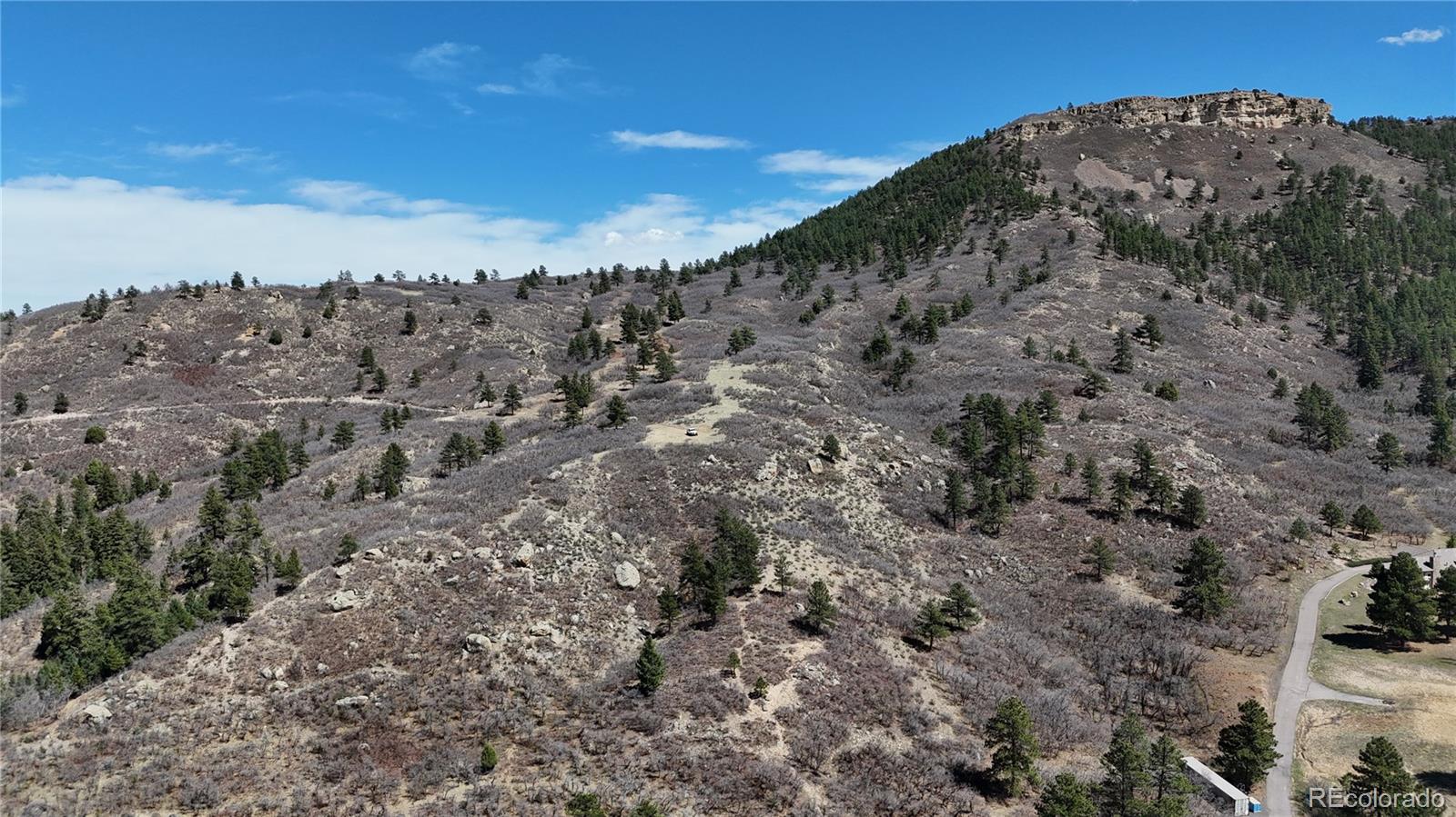 1 South Perry Park Road Sedalia, CO 80135 - Photo 10 of 25 a view of a dry yard with lots of trees