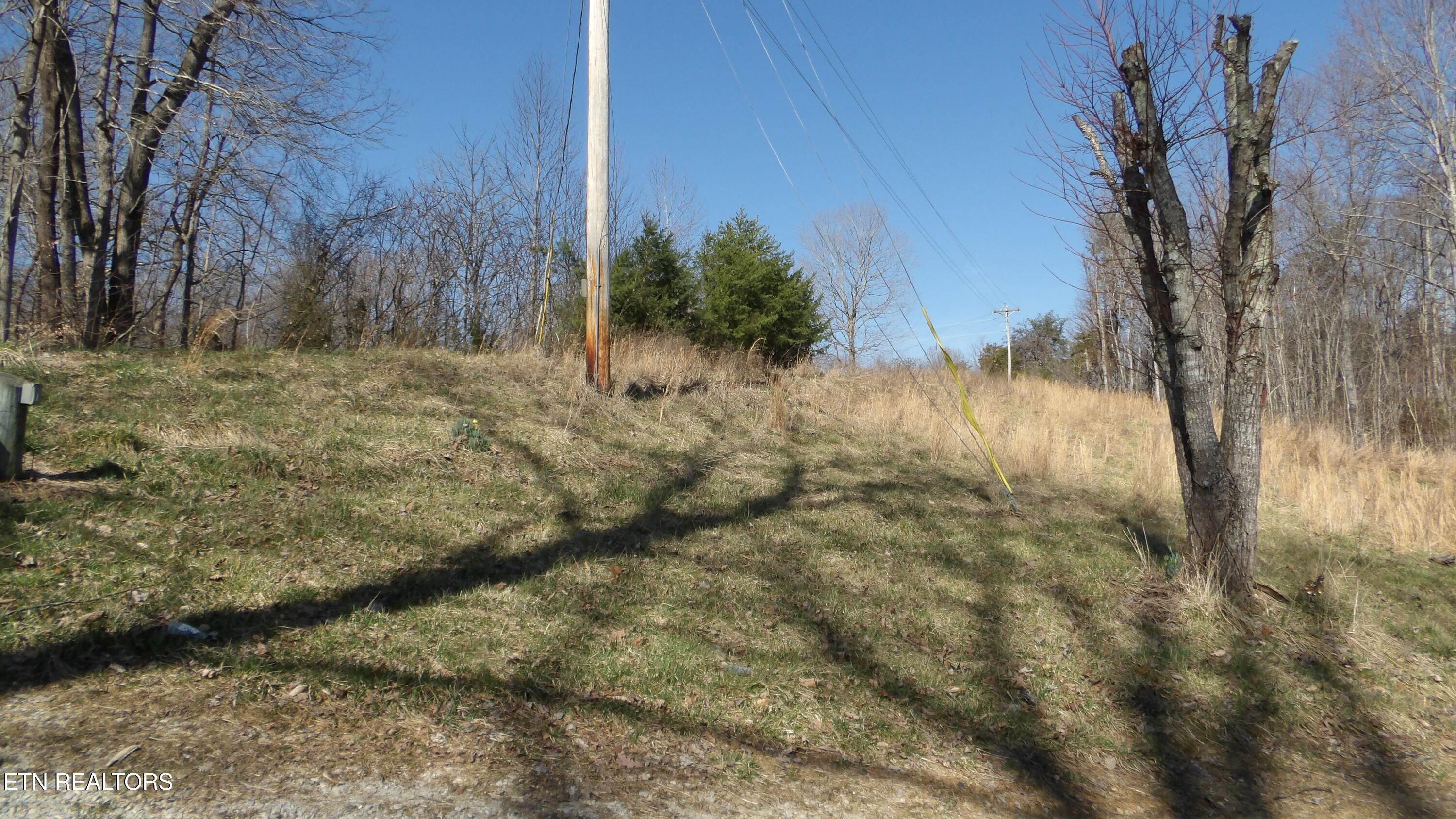 174 Turkey Town Road Hilham, TN 38568 - Photo 11 of 53 100_0014