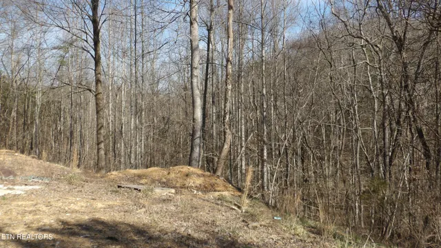 $79,900 | 174 Turkey Town Road, Hilham, TN 38568