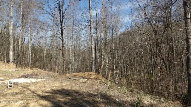 $79,900 | 174 Turkey Town Road, Hilham, TN 38568