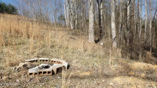 $79,900 | 174 Turkey Town Road, Hilham, TN 38568