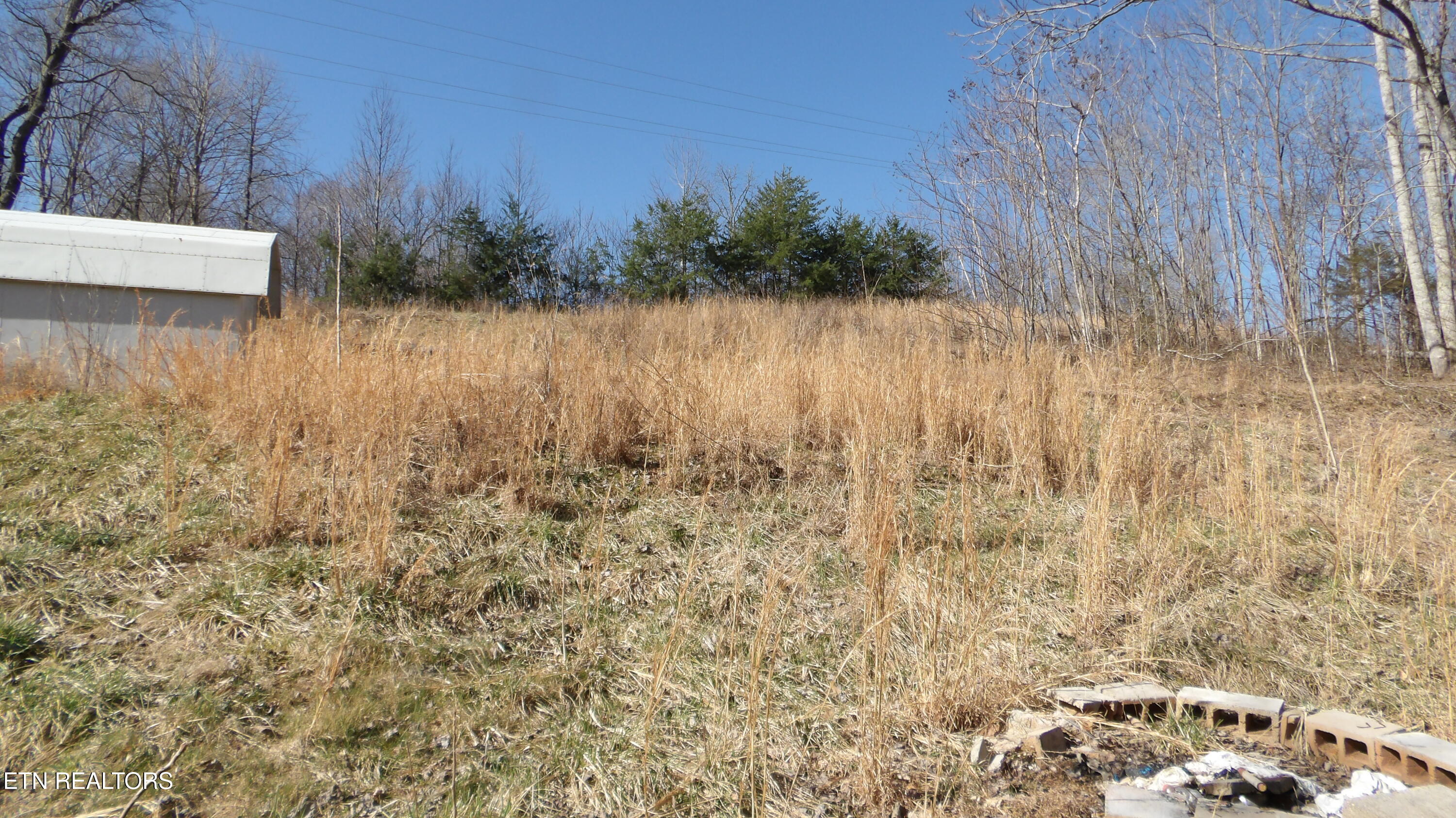 174 Turkey Town Road Hilham, TN 38568 - Photo 25 of 53 100_0028