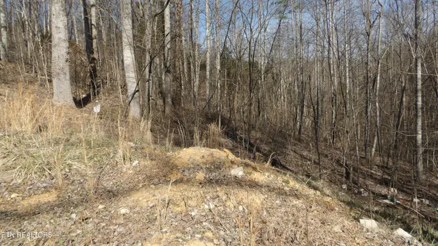 $79,900 | 174 Turkey Town Road, Hilham, TN 38568