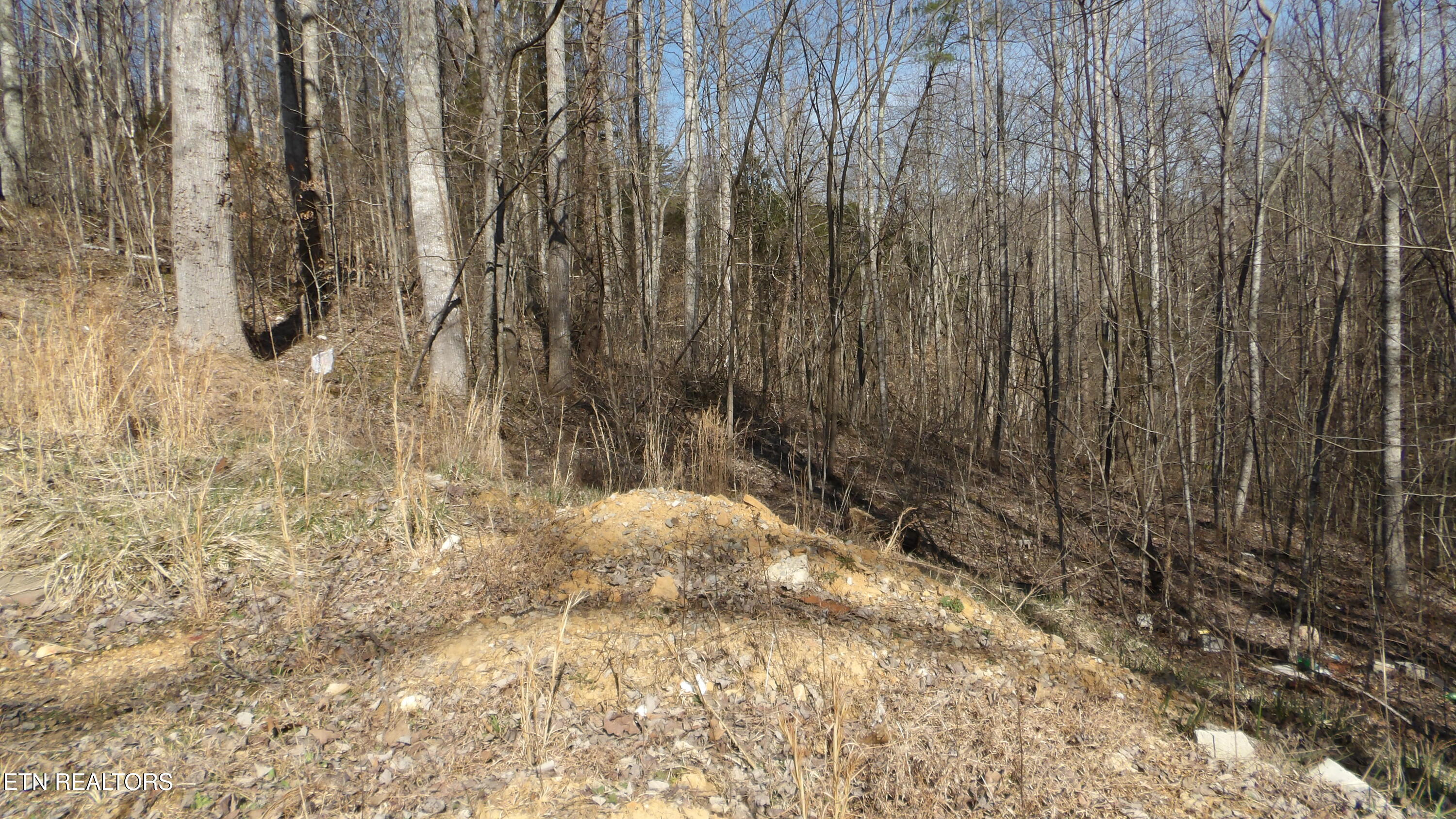 174 Turkey Town Road Hilham, TN 38568 - Photo 26 of 53 100_0029