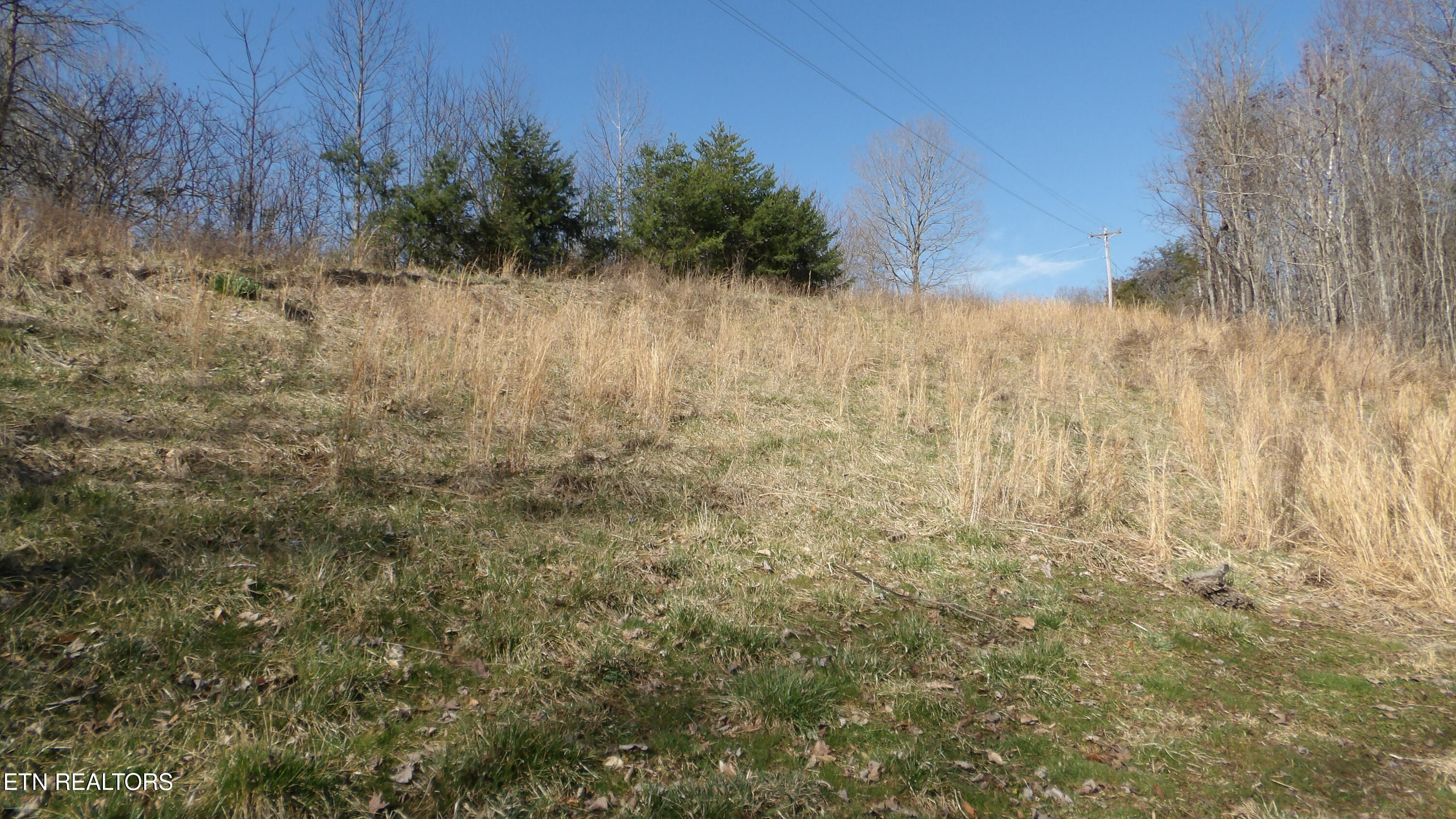 174 Turkey Town Road Hilham, TN 38568 - Photo 31 of 53 100_0037