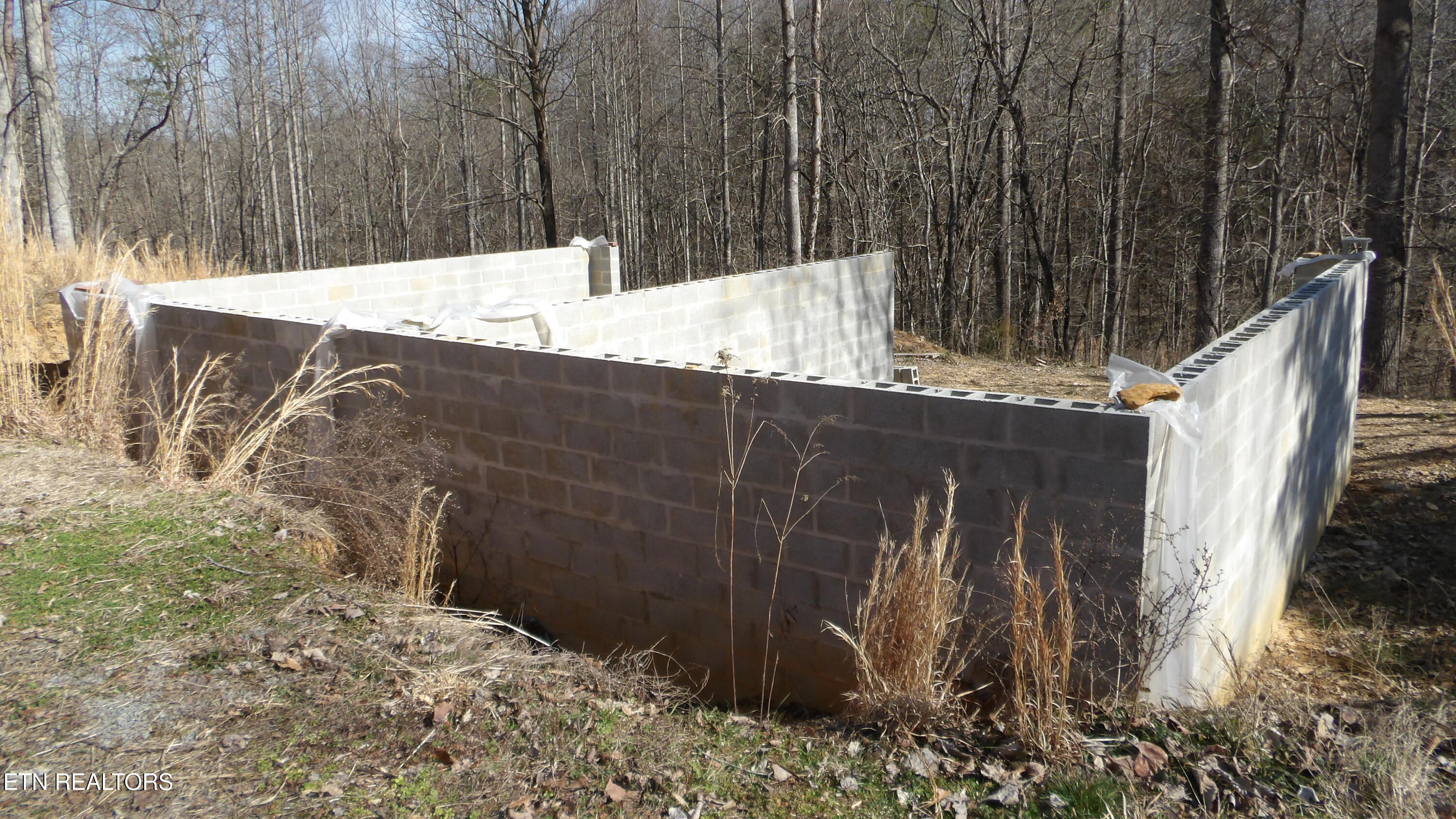 174 Turkey Town Road Hilham, TN 38568 - Photo 33 of 53 100_0039