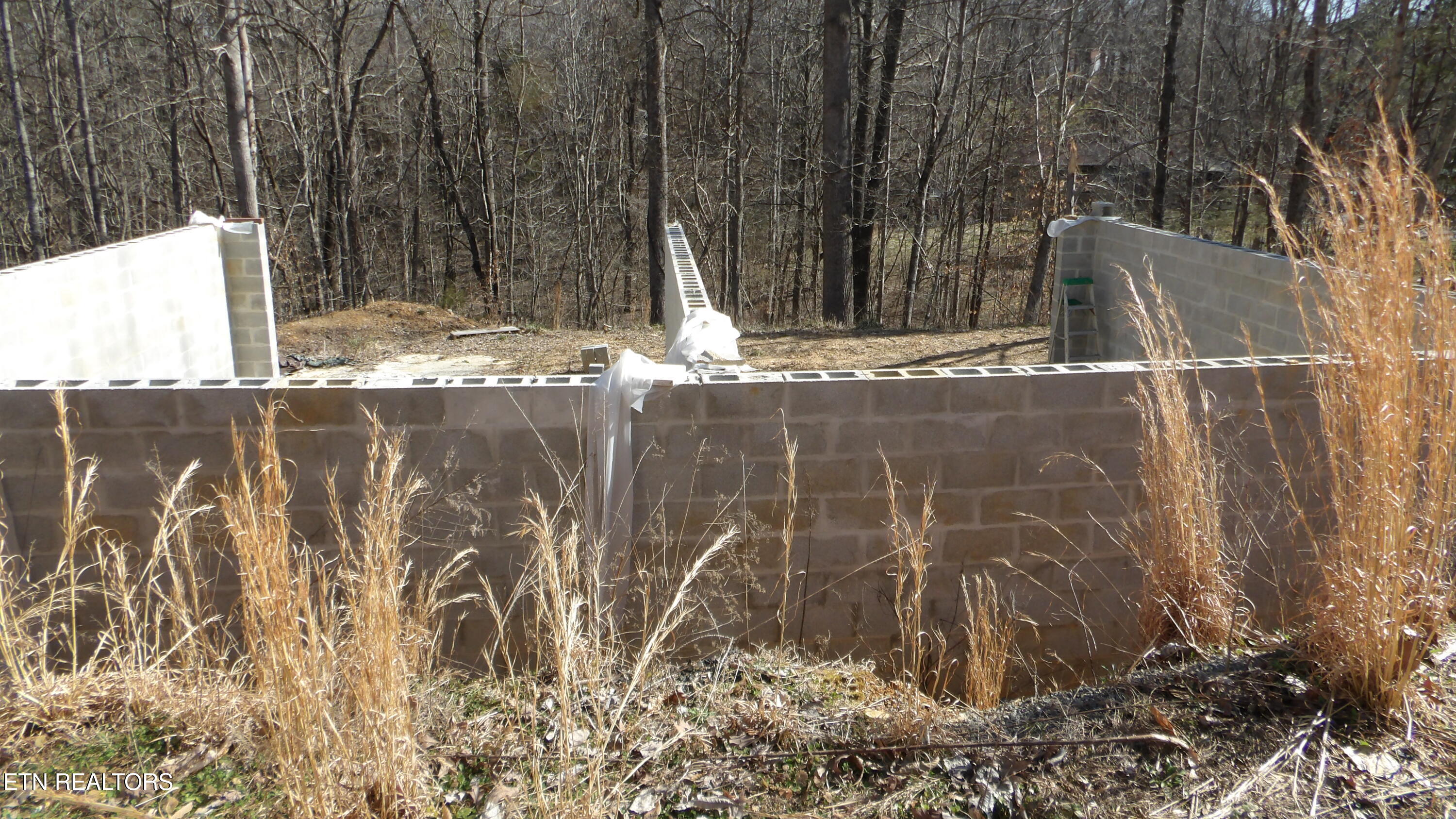 174 Turkey Town Road Hilham, TN 38568 - Photo 35 of 53 100_0041