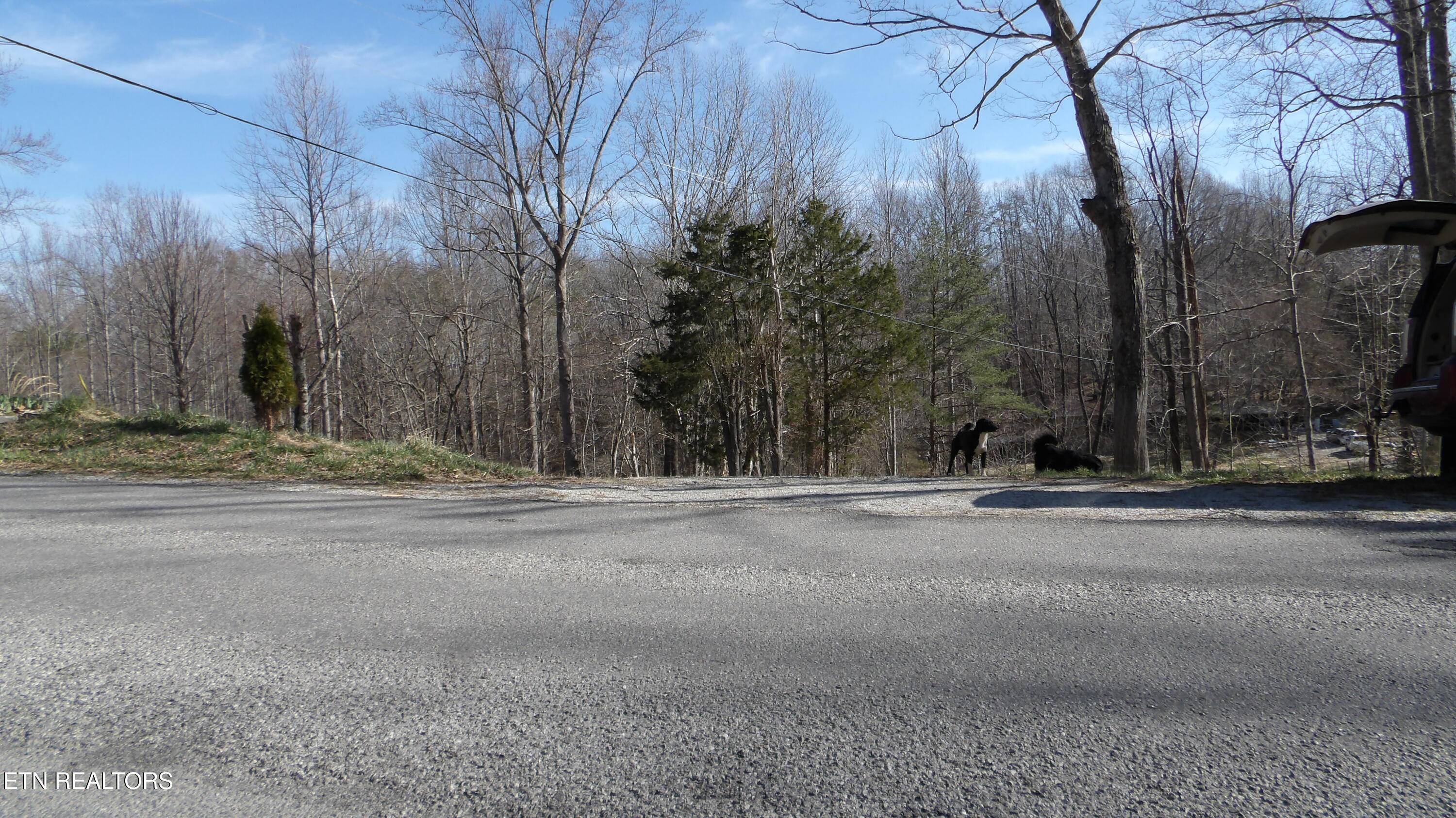 174 Turkey Town Road Hilham, TN 38568 - Photo 44 of 53 100_0003