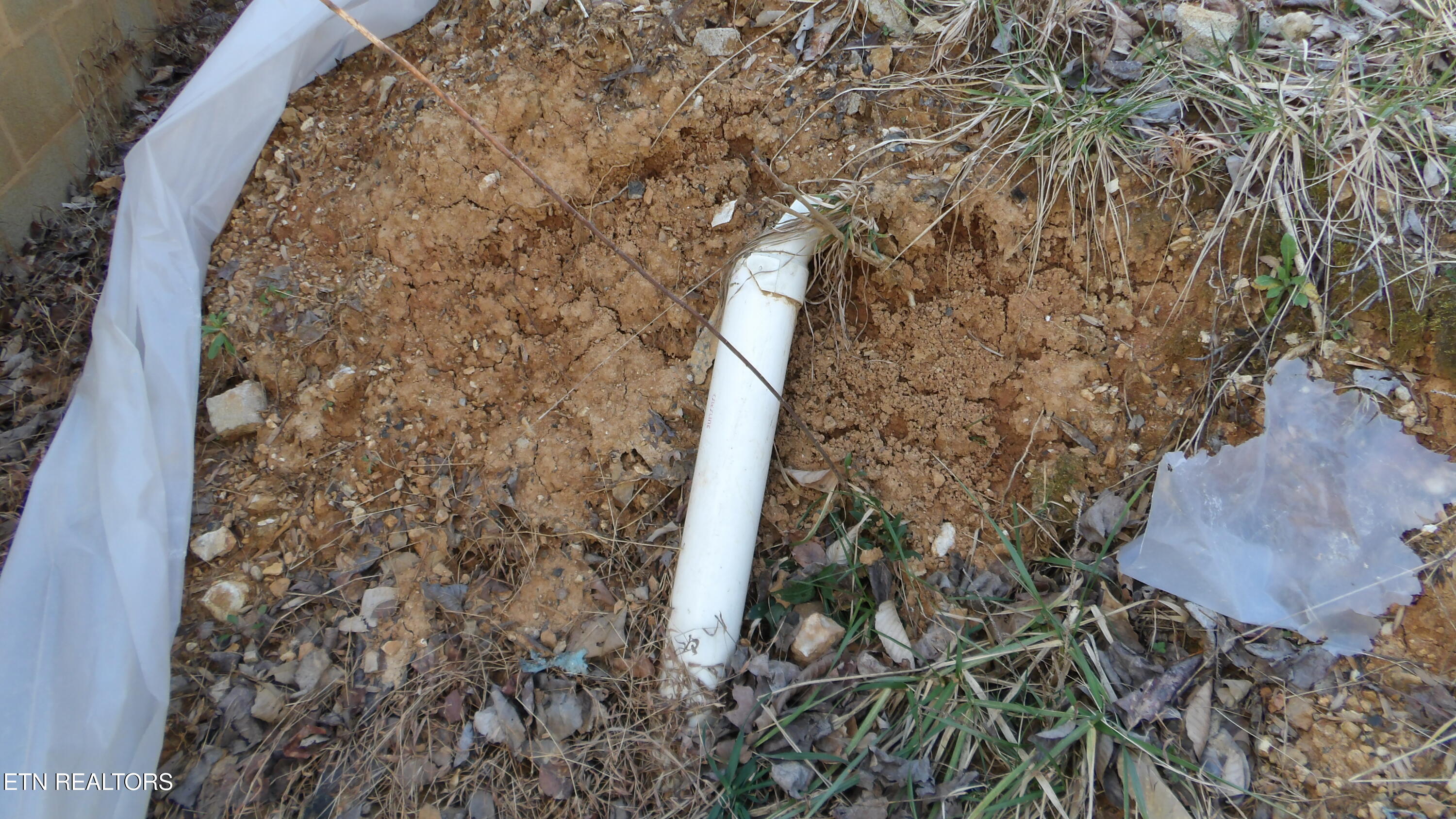 174 Turkey Town Road Hilham, TN 38568 - Photo 5 of 53 100_0035