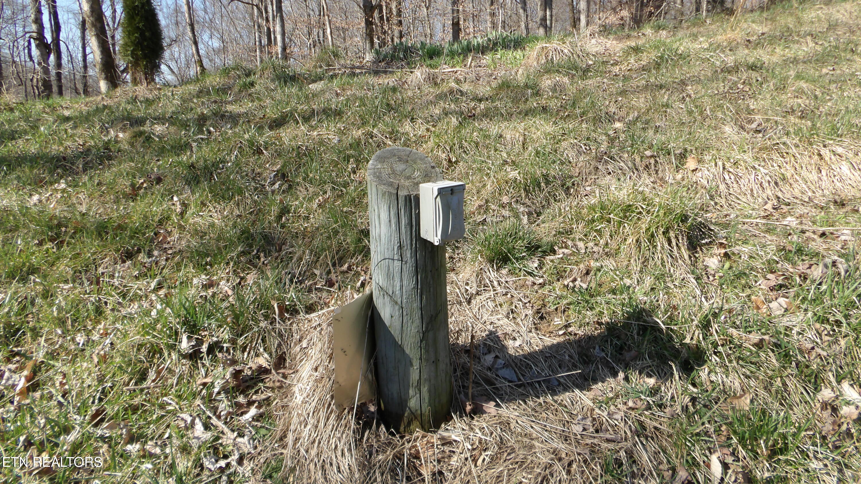 174 Turkey Town Road Hilham, TN 38568 - Photo 7 of 53 100_0009