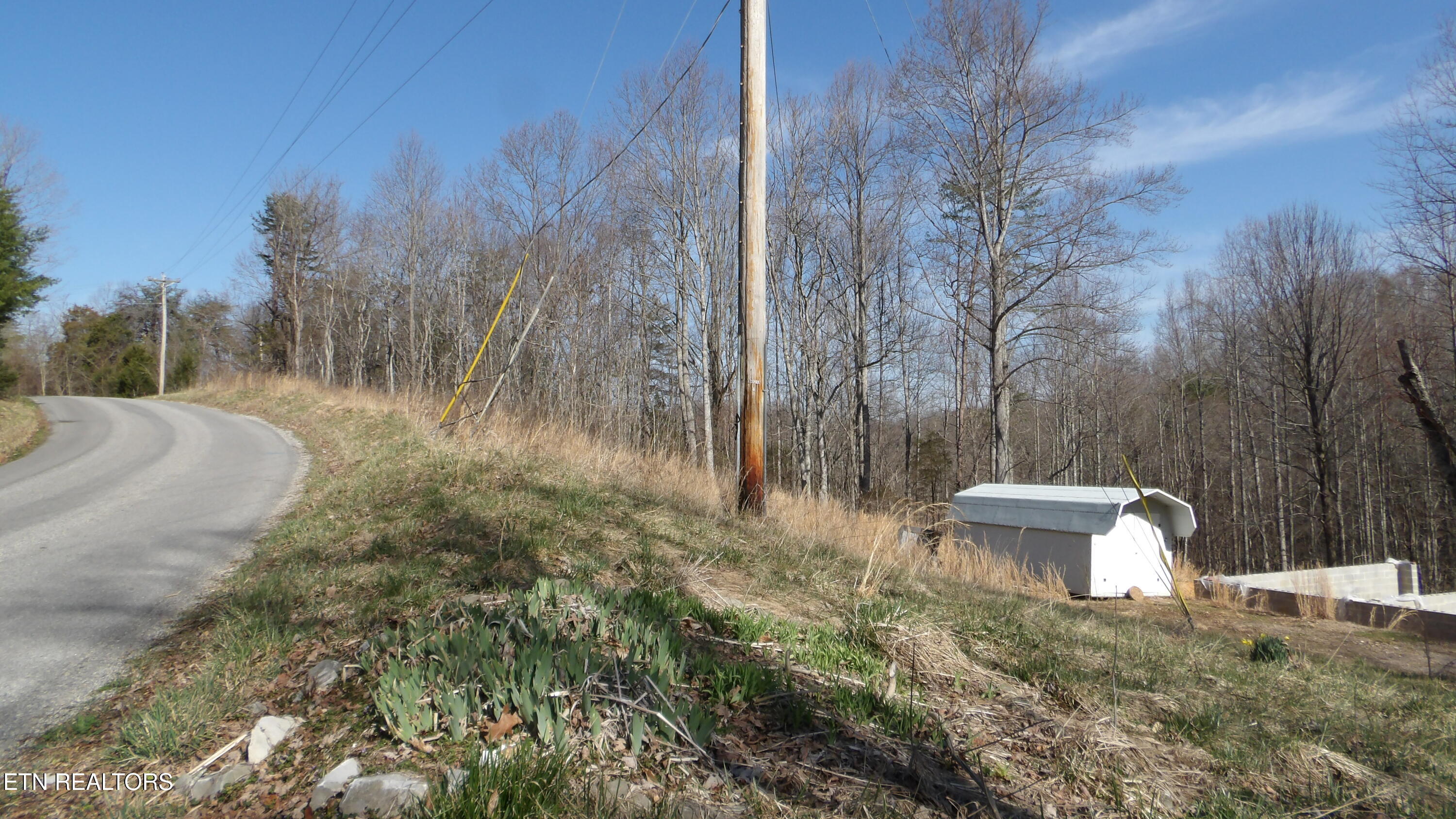 174 Turkey Town Road Hilham, TN 38568 - Photo 8 of 53 100_0010