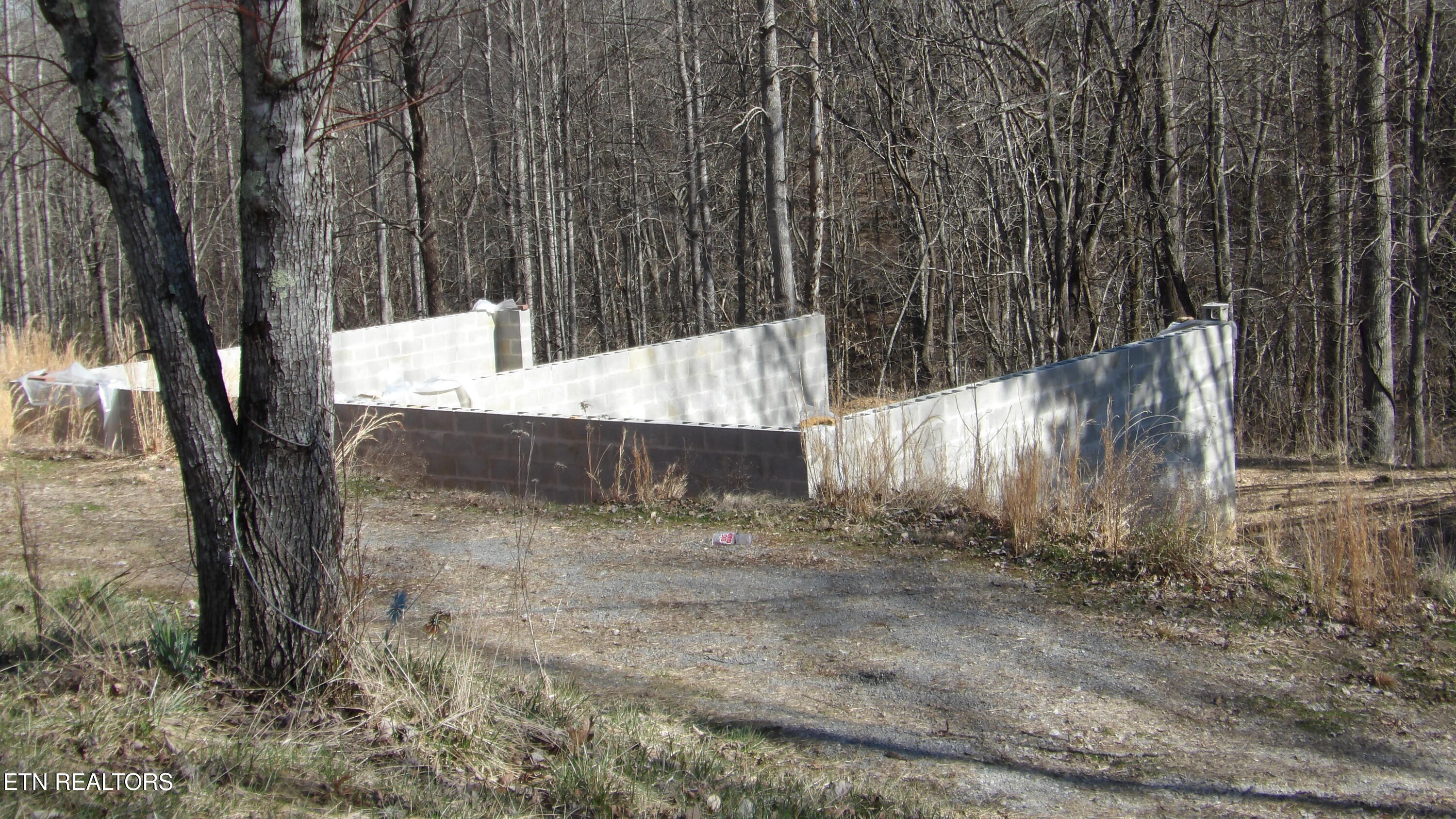 174 Turkey Town Road Hilham, TN 38568 - Photo 9 of 53 100_0012