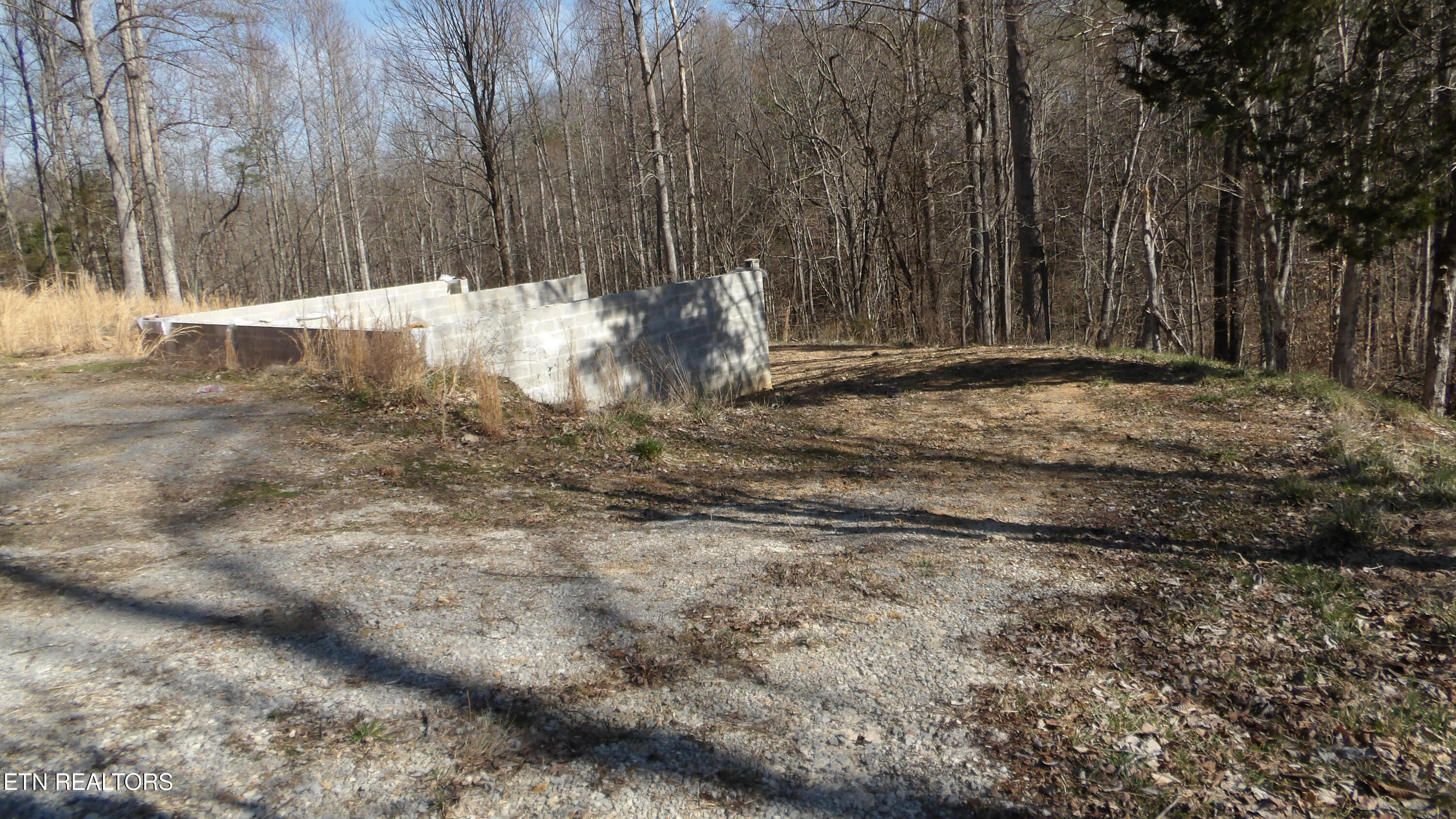 174 Turkey Town Road Hilham, TN 38568 - Photo 10 of 53 100_0013