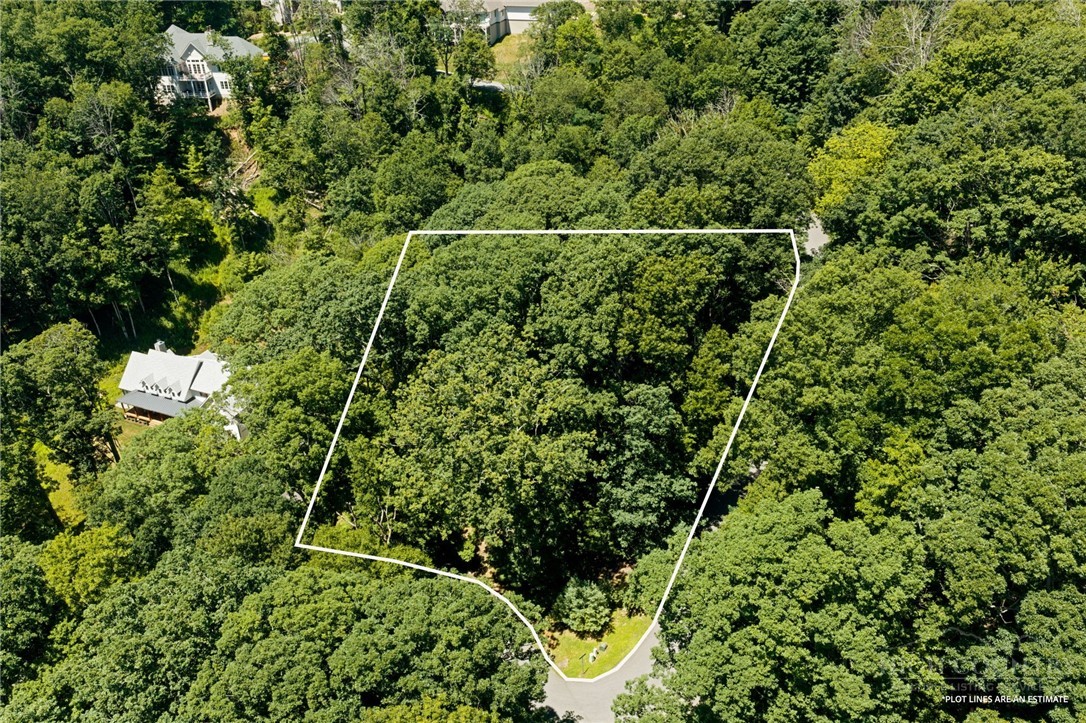 Lot 50 Fire Pink Road Boone, NC 28607 - Photo 7 of 15 Gallery Image 7