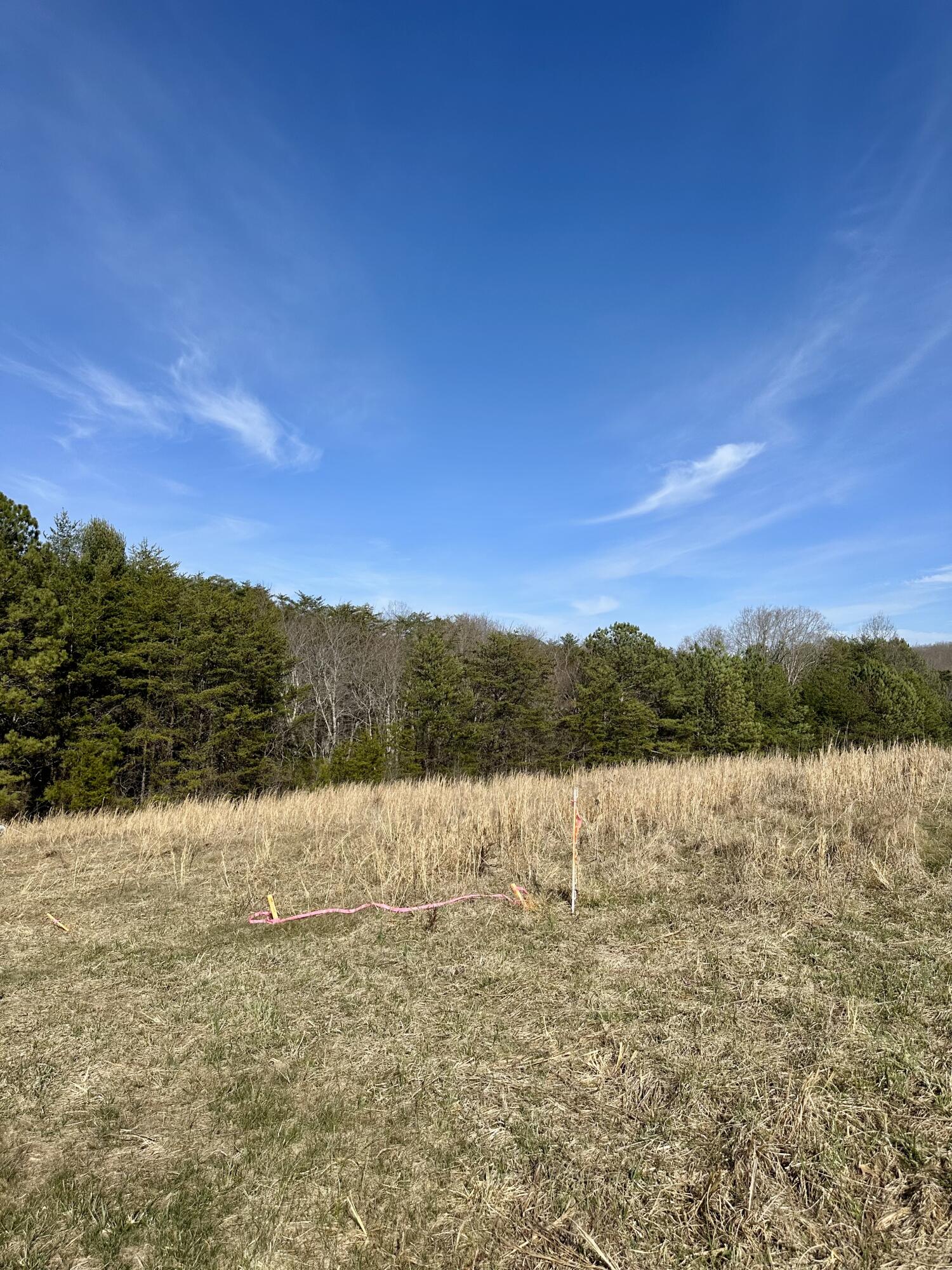 0 Lewis Chapel Road Dunlap, TN 37327 - Photo 12 of 38 IMG_7097