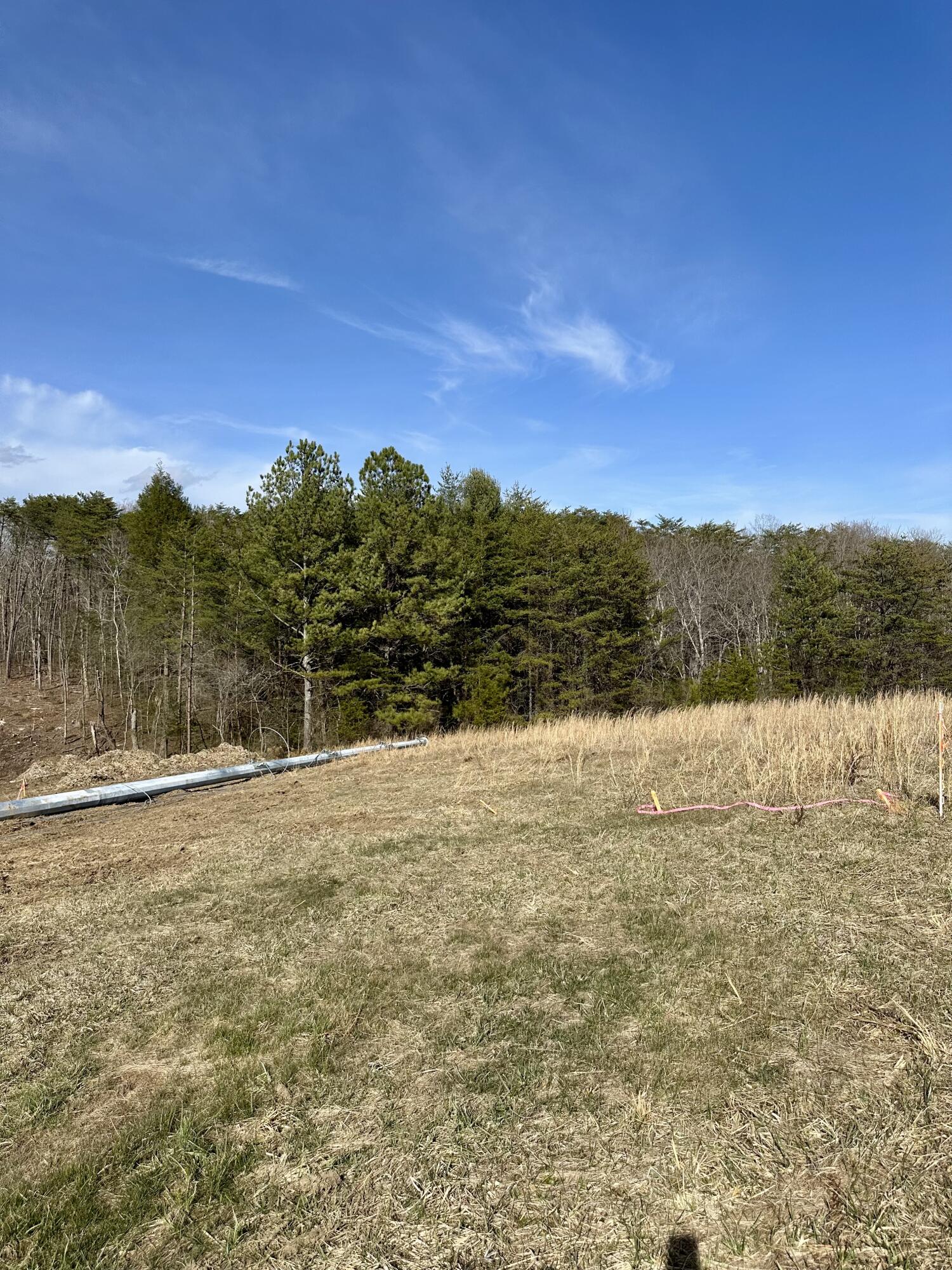 0 Lewis Chapel Road Dunlap, TN 37327 - Photo 13 of 38 IMG_7096