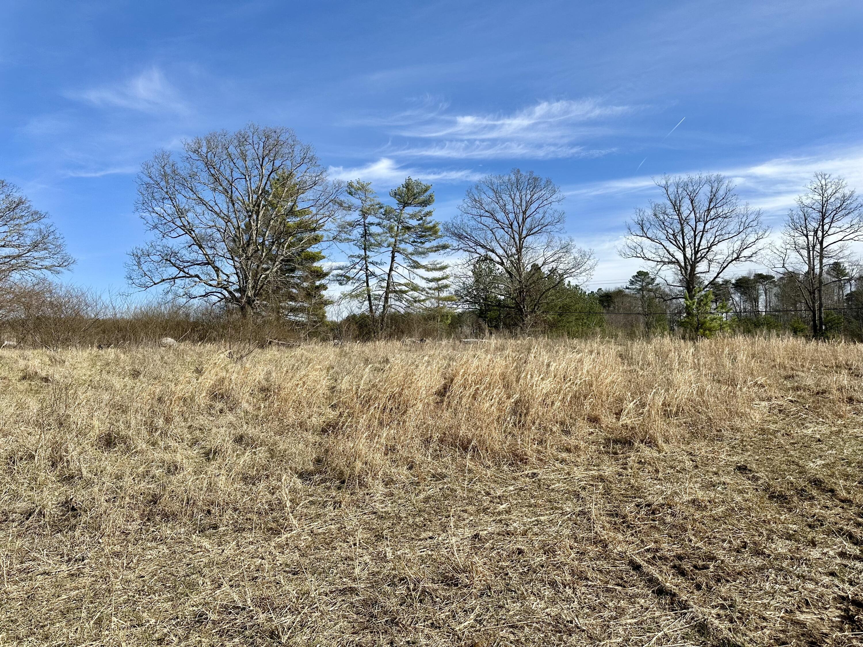 0 Lewis Chapel Road Dunlap, TN 37327 - Photo 28 of 38 IMG_7073