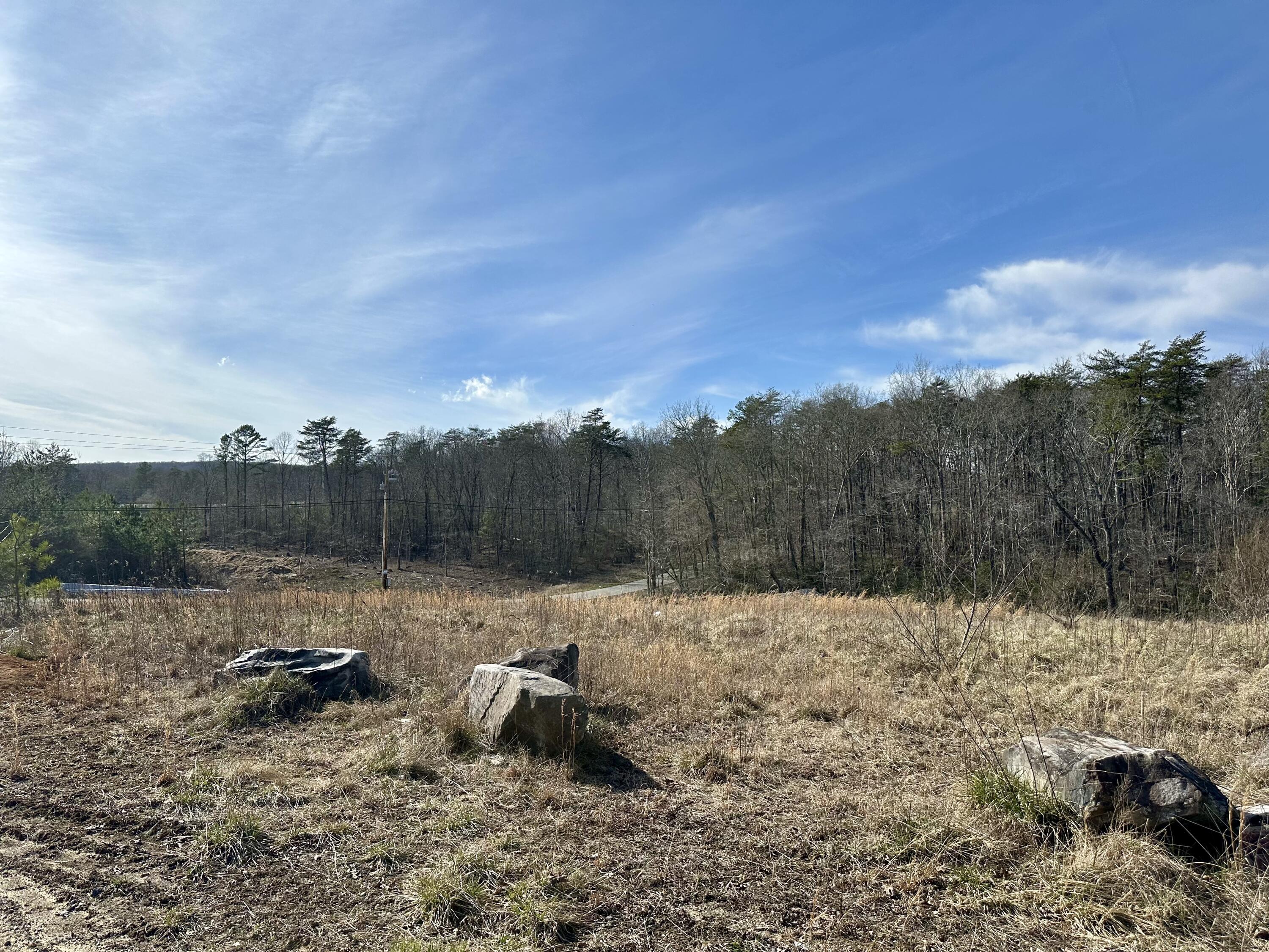 0 Lewis Chapel Road Dunlap, TN 37327 - Photo 32 of 38 IMG_7062