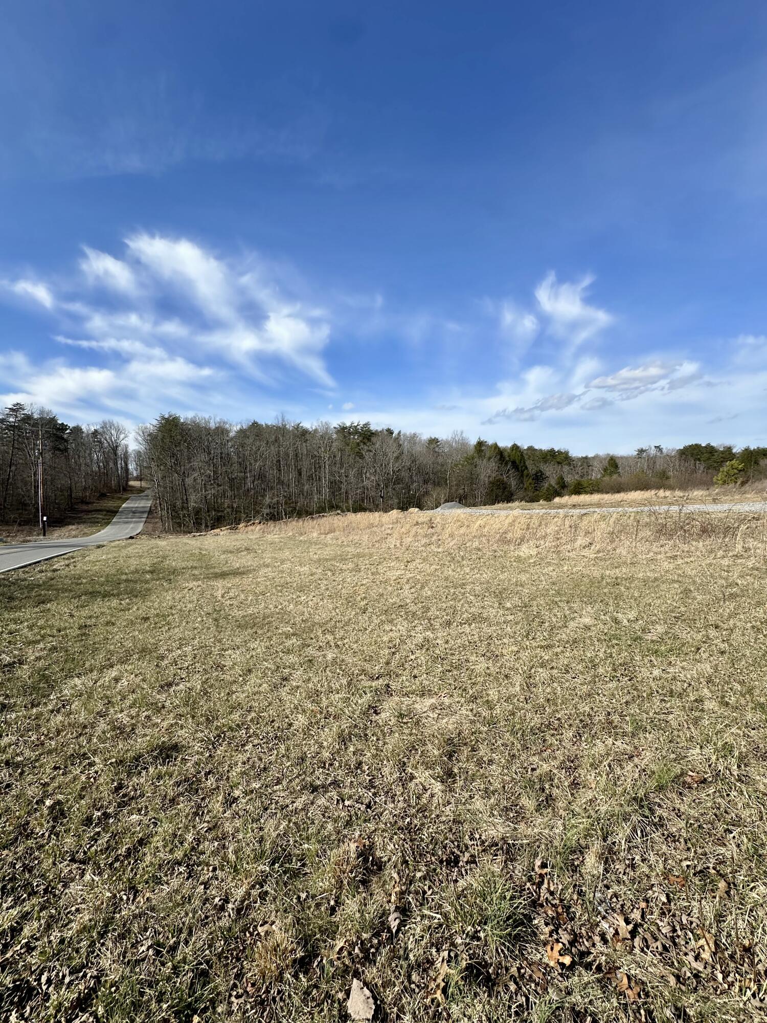 0 Lewis Chapel Road Dunlap, TN 37327 - Photo 7 of 38 IMG_7107