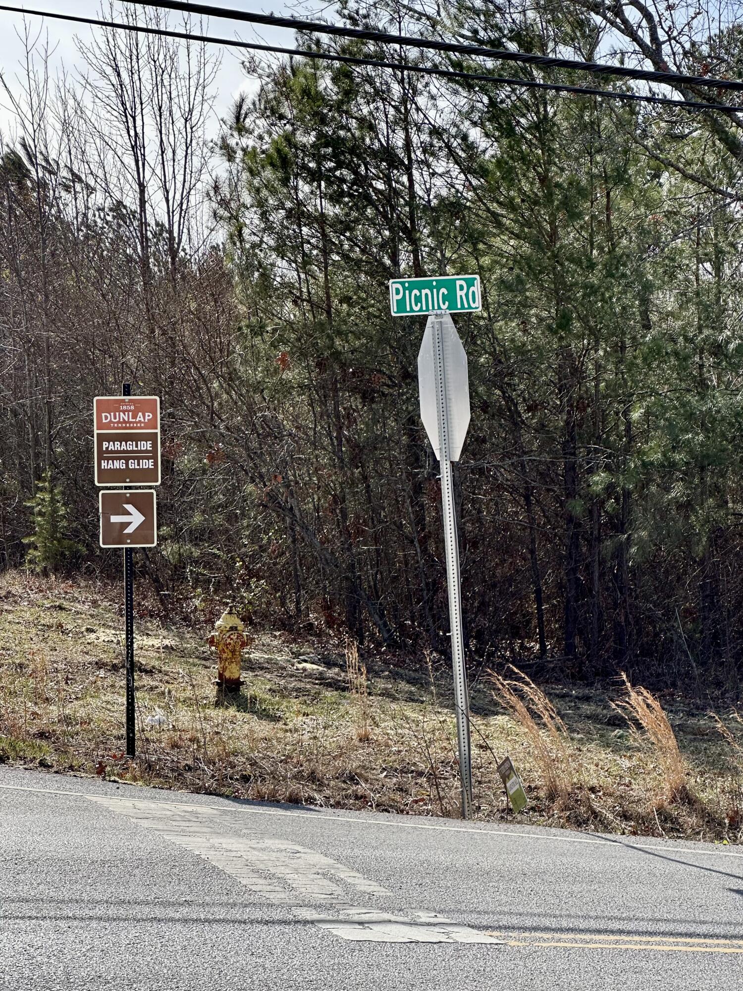 0 Lewis Chapel Road Dunlap, TN 37327 - Photo 9 of 38 IMG_7103