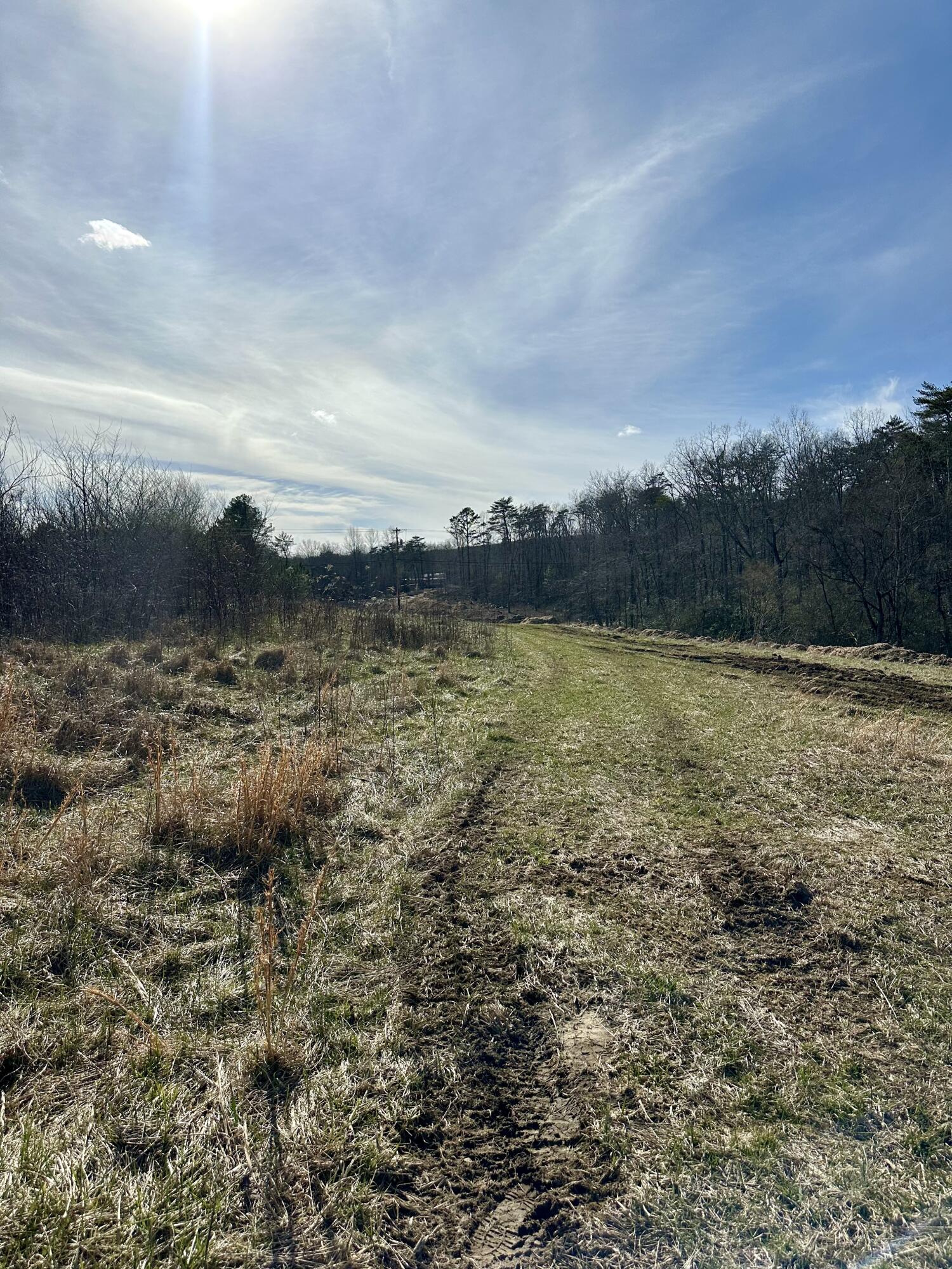 0 Lewis Chapel Road Dunlap, TN 37327 - Photo 10 of 38 IMG_7102