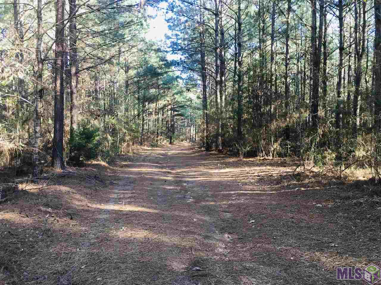 3258 Enterprise Road Liberty, MS 39645 - Photo 11 of 29