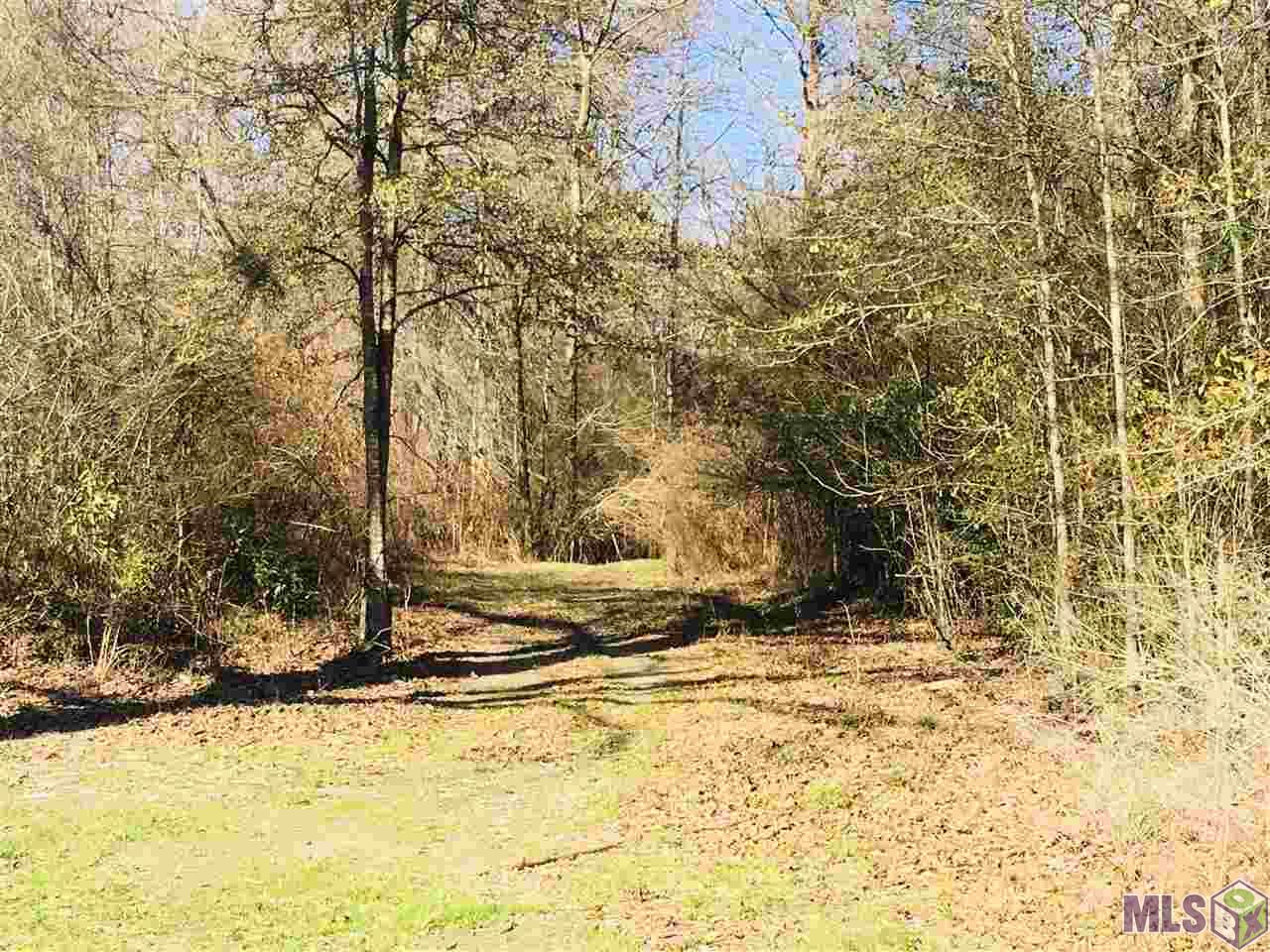 3258 Enterprise Road Liberty, MS 39645 - Photo 9 of 29
