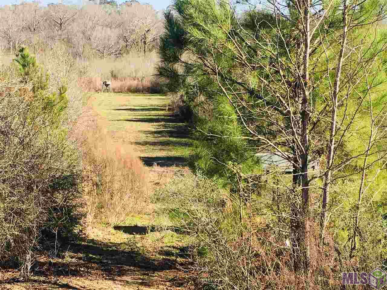 3258 Enterprise Road Liberty, MS 39645 - Photo 10 of 29