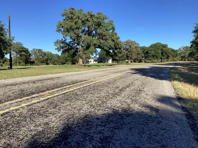 a view of a yard with large trees