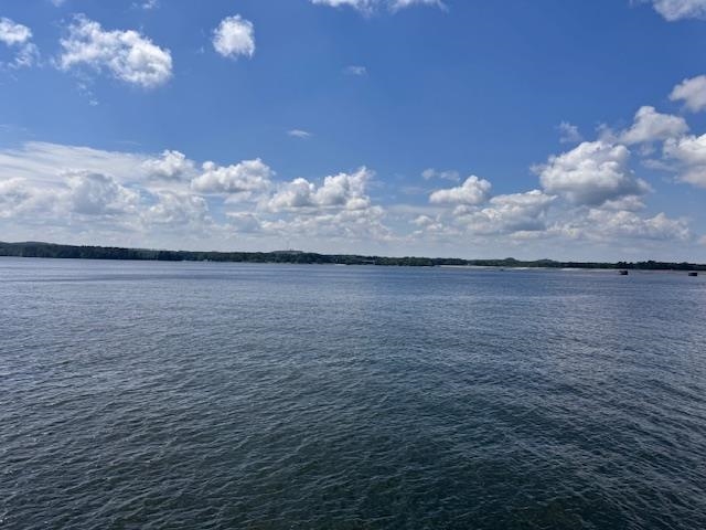 High Pointe Drive Savannah, TN 38372 - Photo 3 of 5 a view of a lake