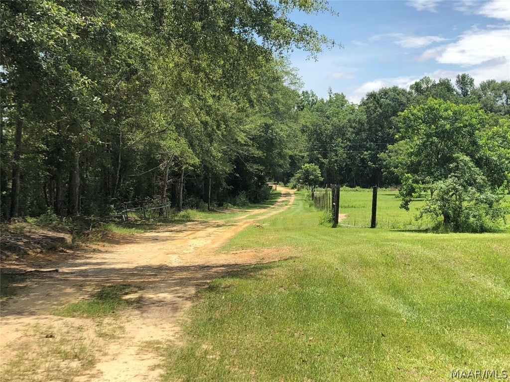 3874 Mitchell Road Hartford, AL 36344 - Photo 25 of 35 Gallery Image 25