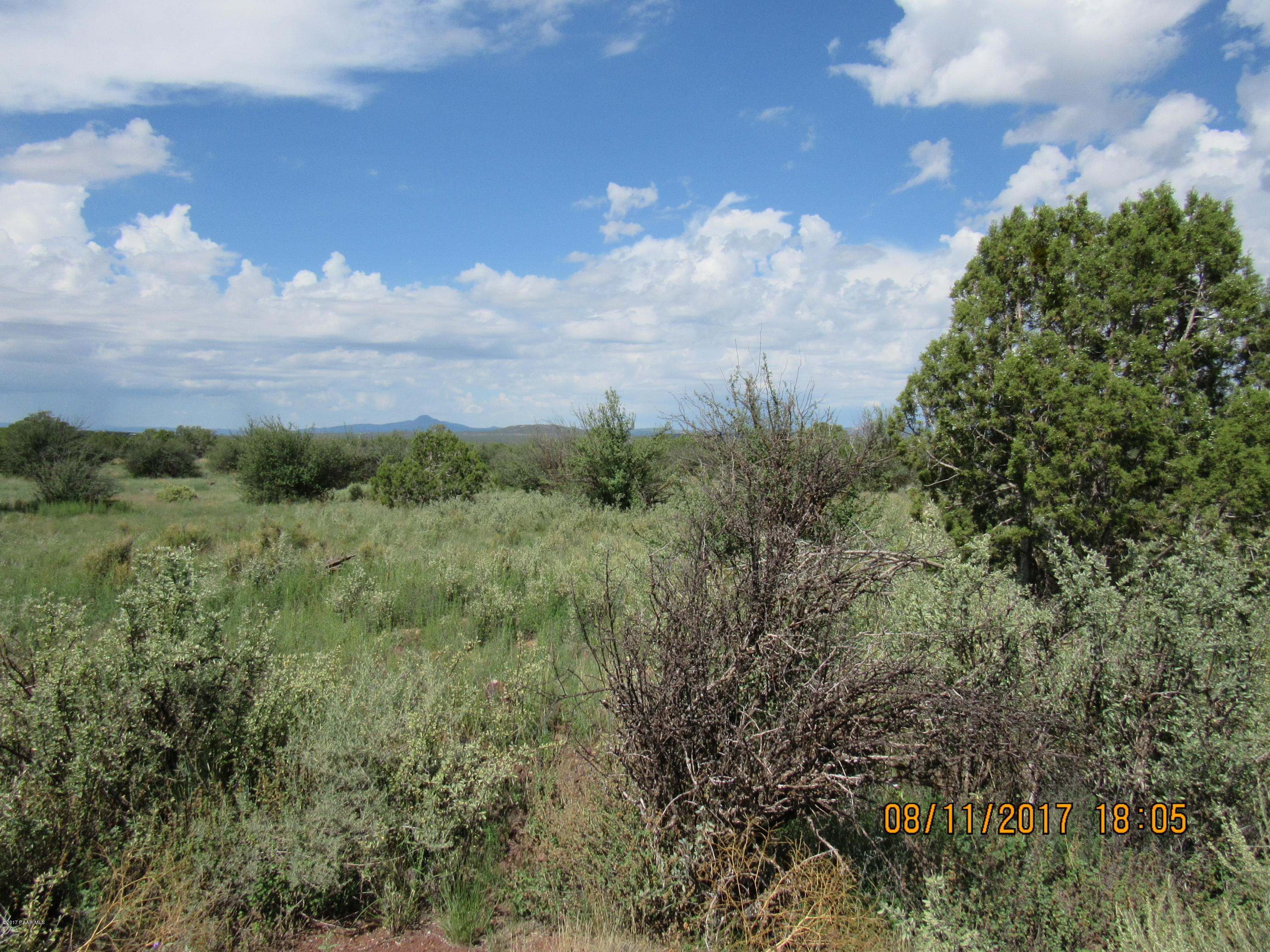 5142 North Forest Line Road Williams, AZ 86046 - Photo 3 of 4 IMG_3122