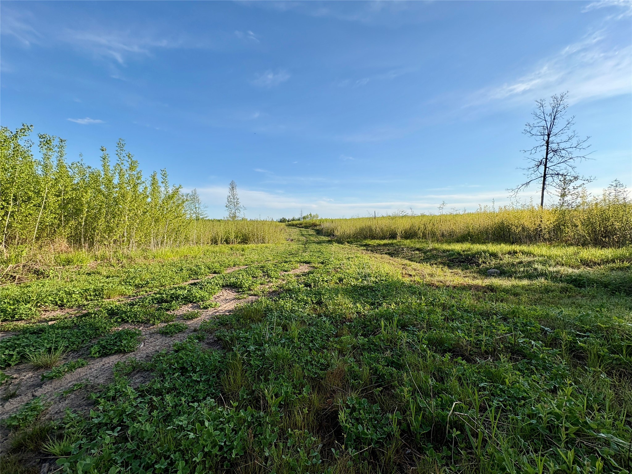 Lot 2 Girod Road Ladysmith, WI 54848 - Photo 5 of 26