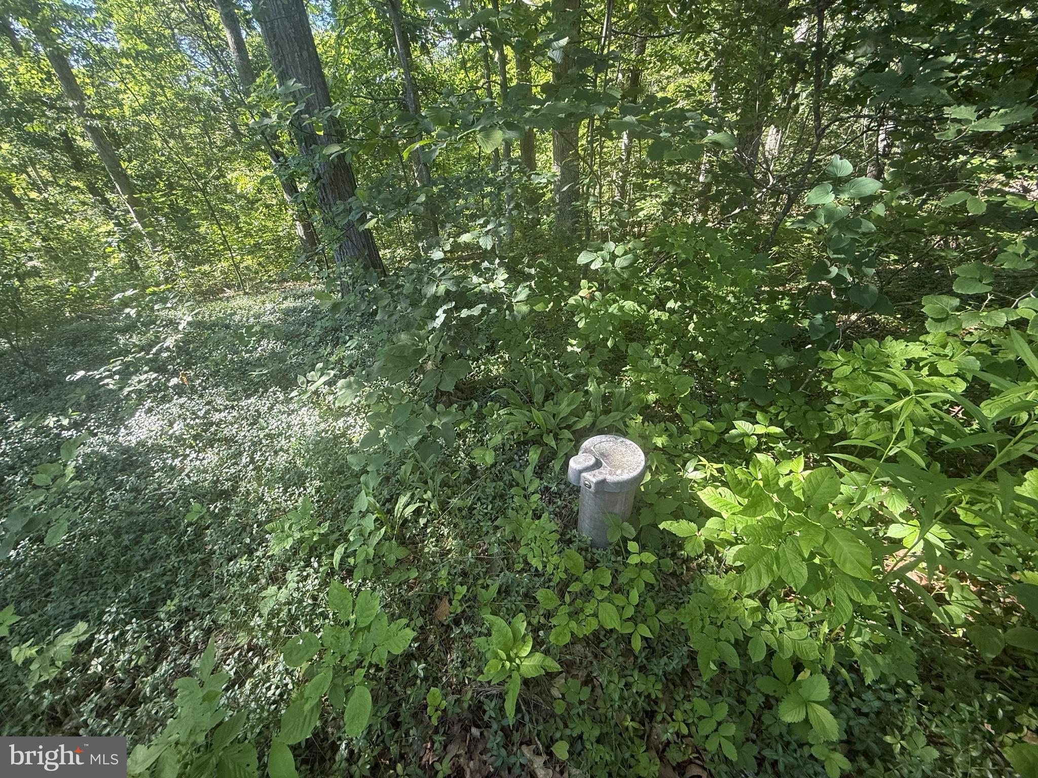 750 Hickory Corner Road Augusta, WV 26704 - Photo 47 of 49