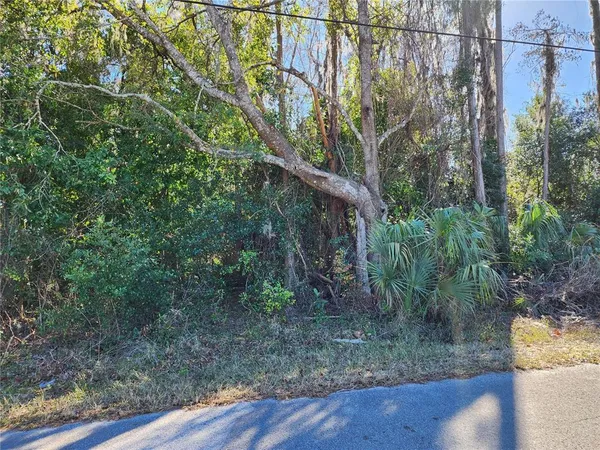 $18,000 | 12716 Poppy Street, New Port Richey, FL 34654